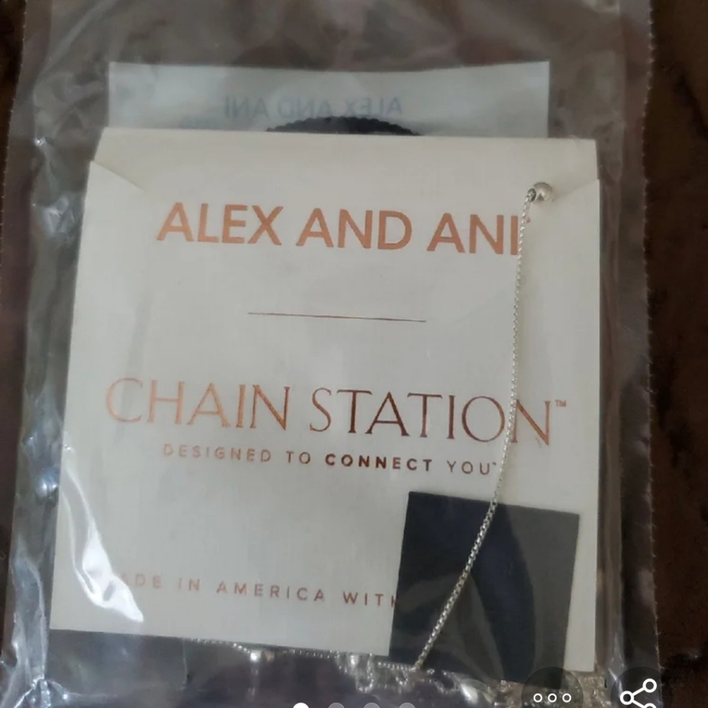 Alex and Ani chain Station necklace